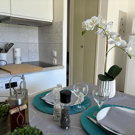 Appartement Proche Centre Climatise 4 Personnes *